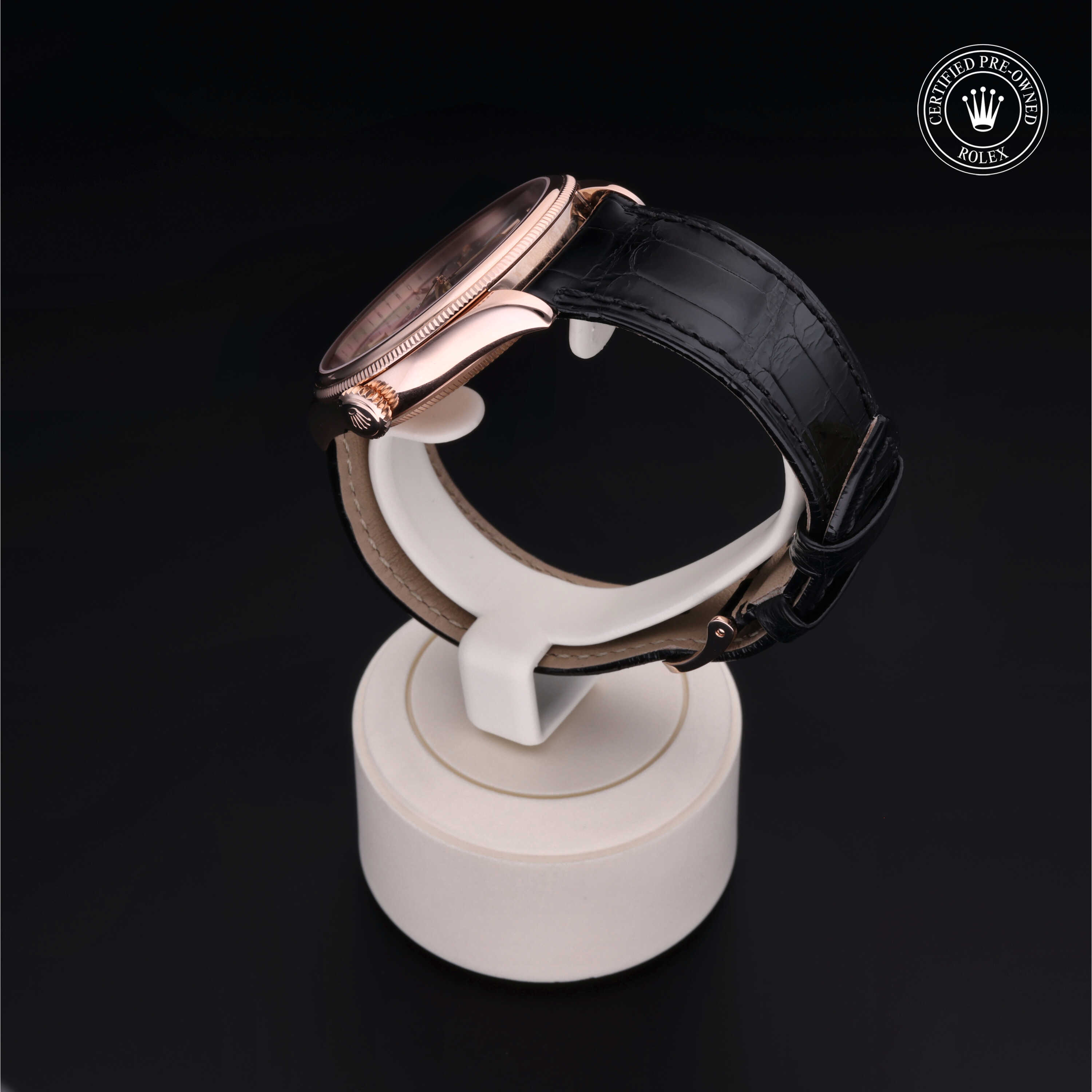 Rolex Cellini in Gold 18 Carat Red M50505-0005 at Alson Jewelers