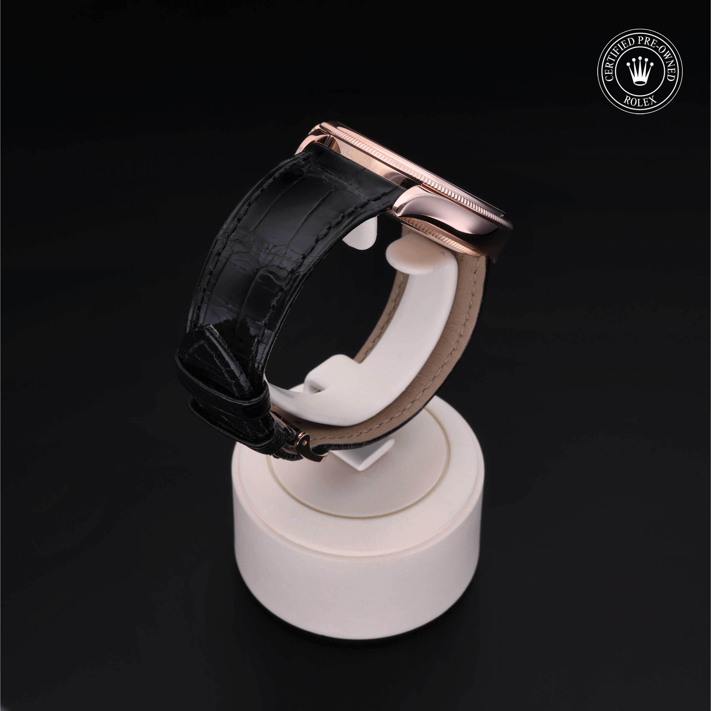 Rolex Cellini in Gold 18 Carat Red M50505-0005 at Alson Jewelers