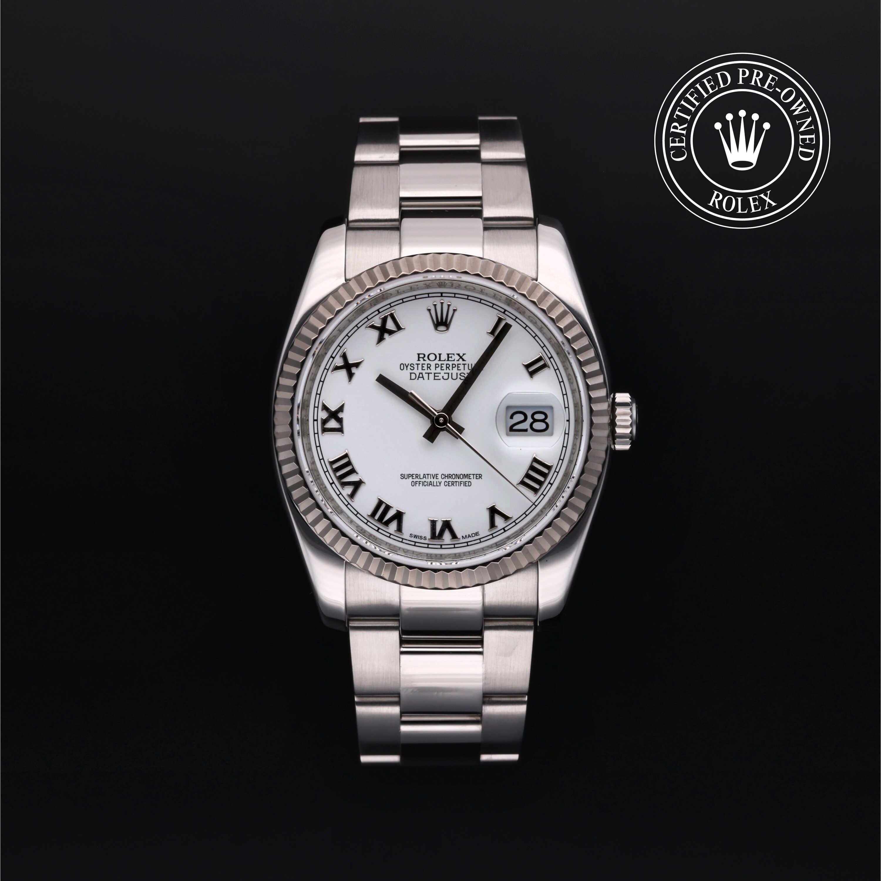 Rolex Datejust in Rolesor 18 Carat White M116234-0053 at Alson Jewelers