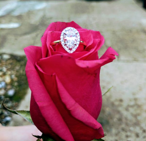 Glenn and Cristine Ring | Alson Jewelers