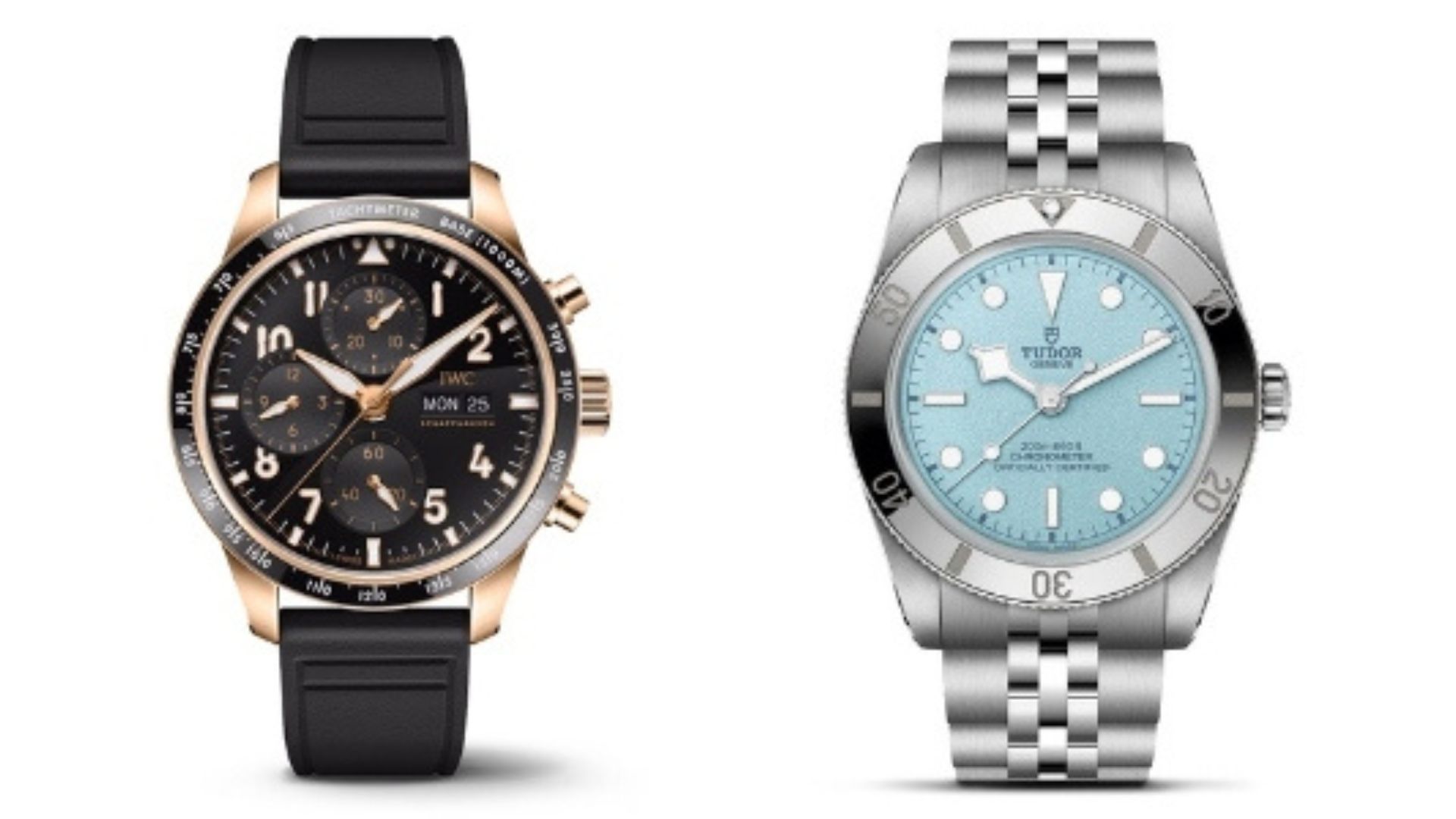 IWC and TUDOR watches